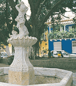 Plaza Fernandez